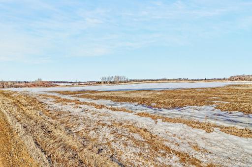 TBD 430th Street, Pelican Rapids, MN 56572