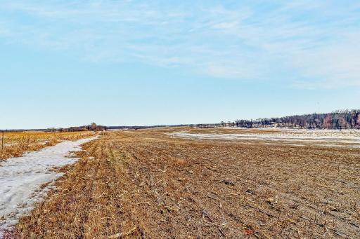 TBD 430th Street, Pelican Rapids, MN 56572