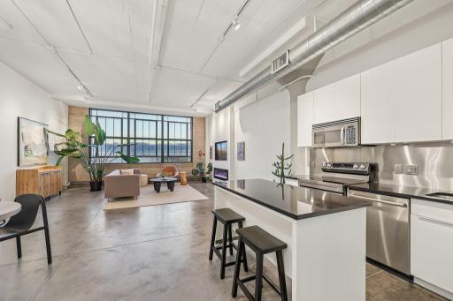 2929 Chicago Avenue, 1105, Minneapolis, MN 55407