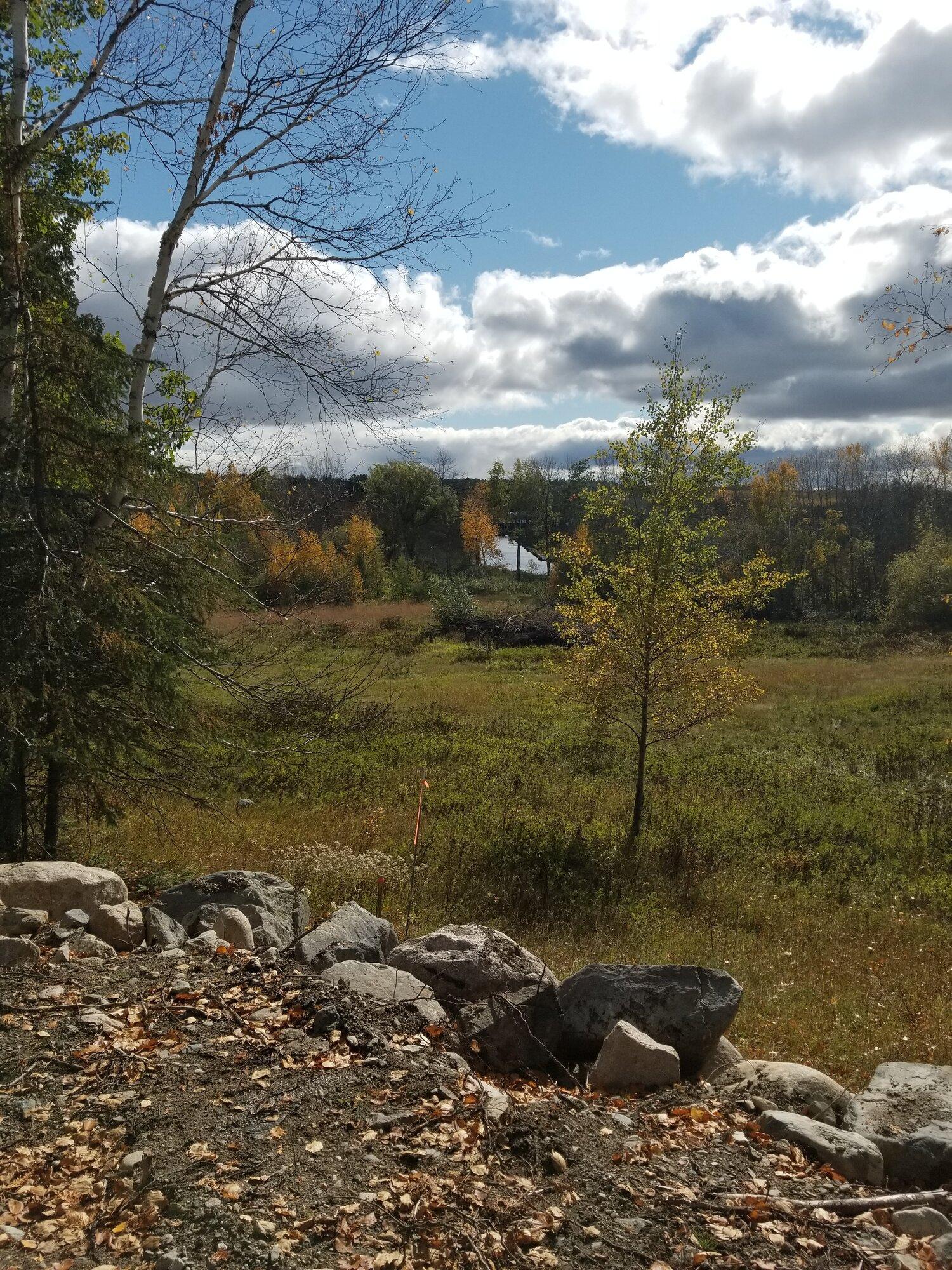 Fall Beauty.