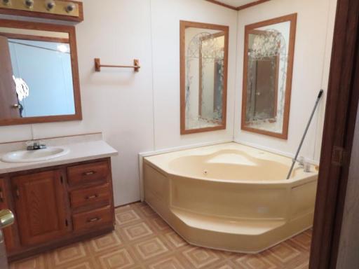 18340 PRIMARY BATH TUB AND SINK.jpg