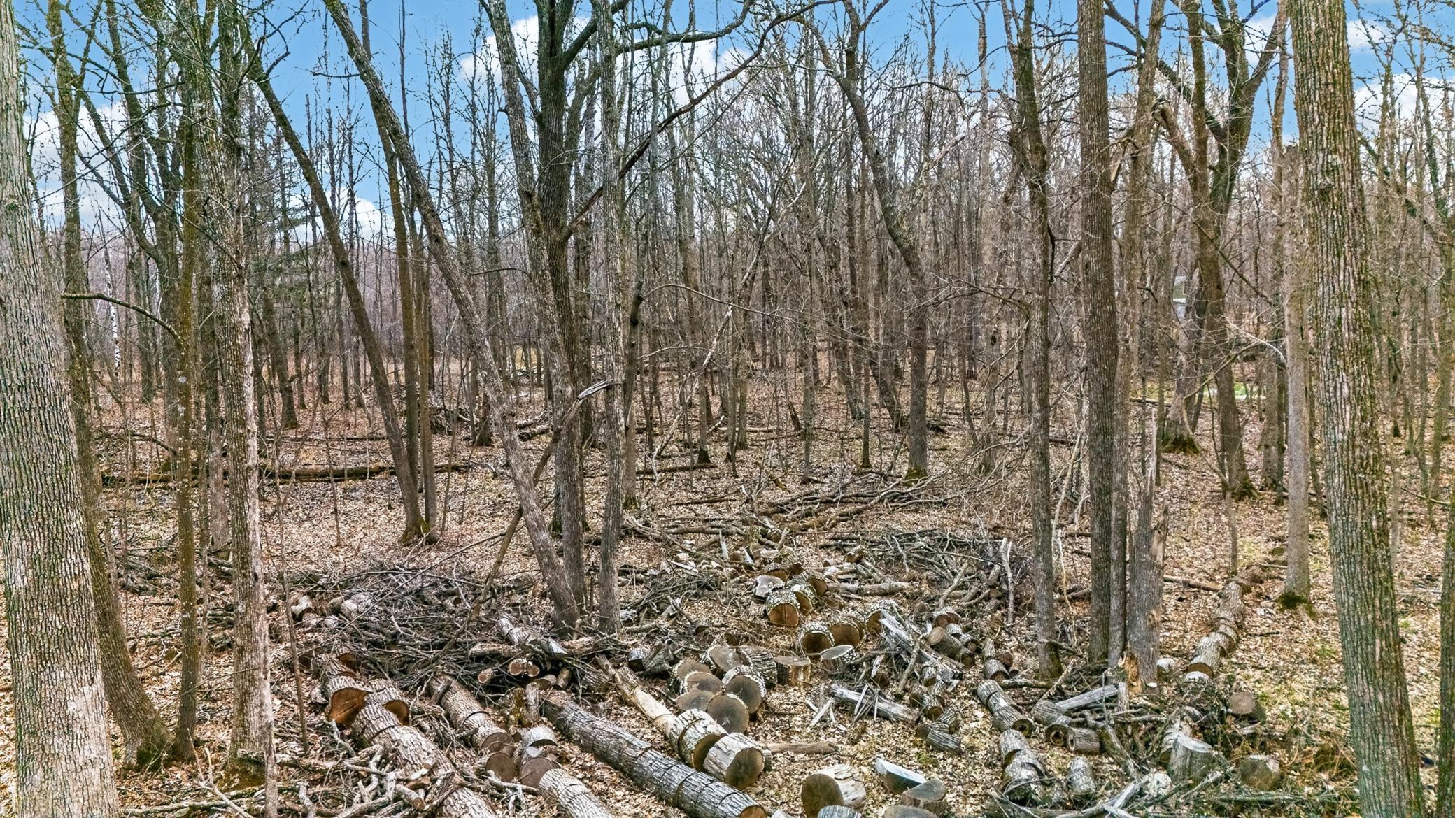 Private wooded lot