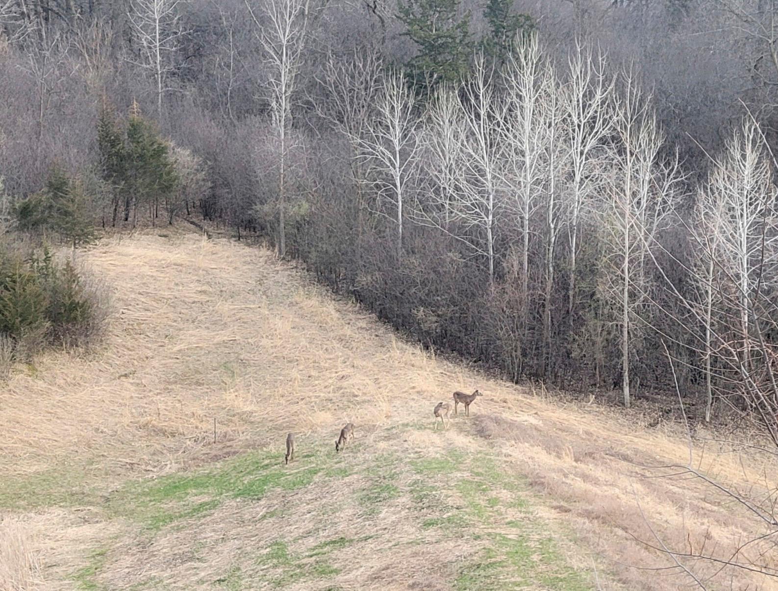 31. Sandra-Reid-Realtor-Remax-Results.jpg