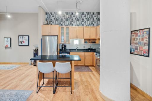 250 Park Avenue, 502, Minneapolis, MN 55415