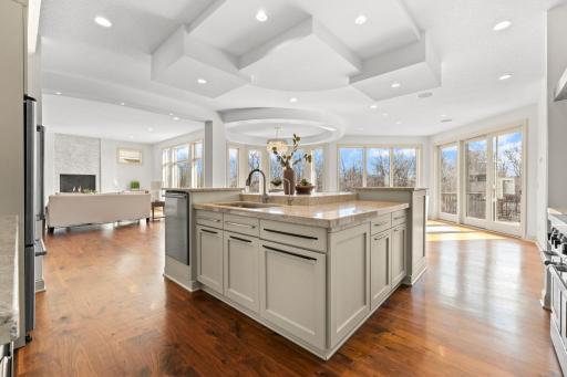 Gourmet kitchen