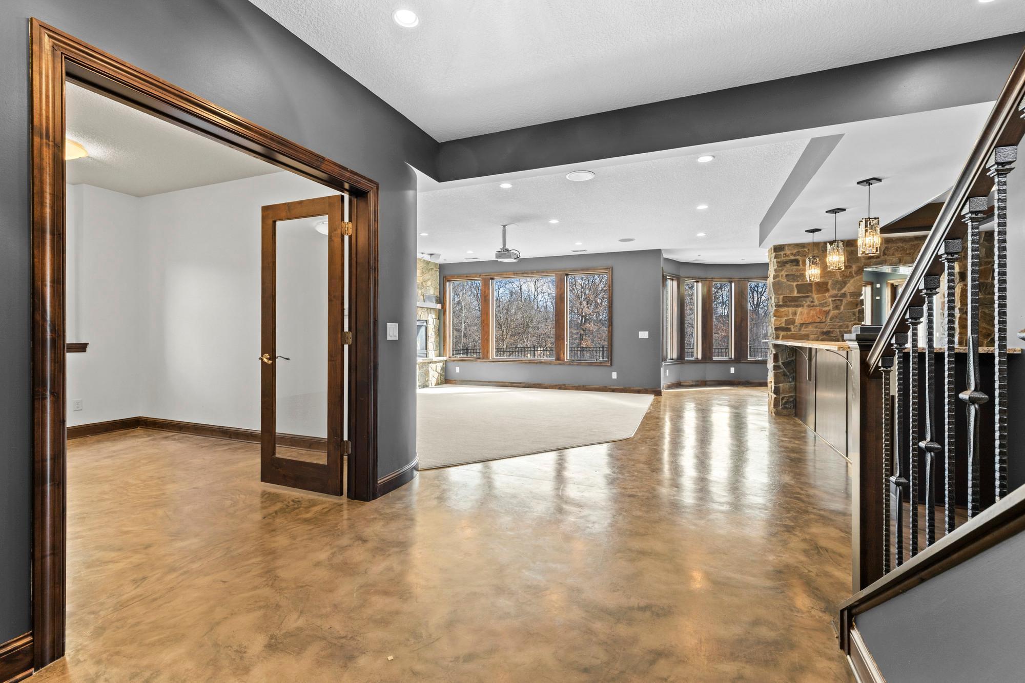 Entertainer's dream basement