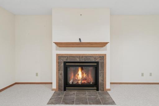 15130 Dutchman Way, Saint Paul, MN 55124