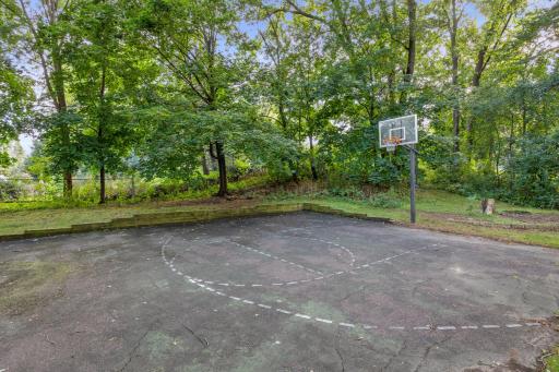 52 Backyard Sport Court with 3-Point Line and Adjustable Gorilla Hoop.jpg
