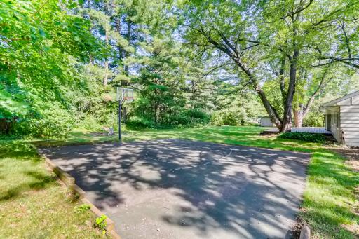 51 Backyard Sport Court with 3-Point Line.jpg