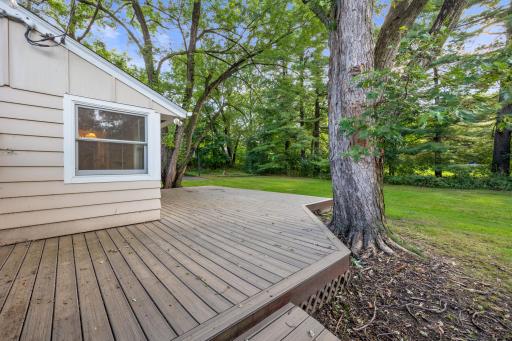 55 Backyard Wrap Around Deck.jpg