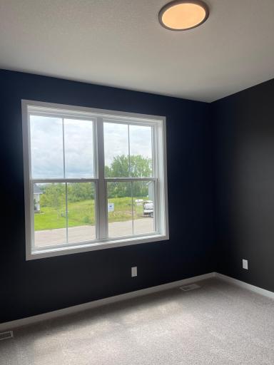 1787 Spruce Street, Farmington, MN 55024
