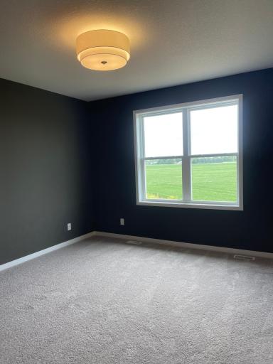 1787 Spruce Street, Farmington, MN 55024