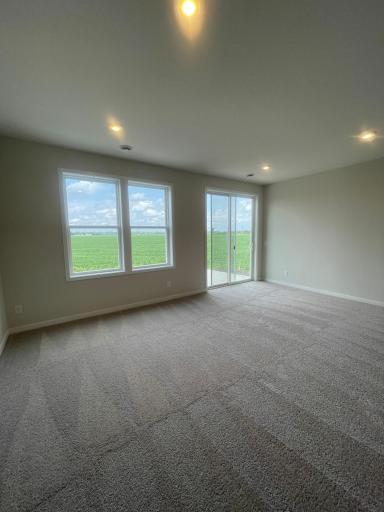 1787 Spruce Street, Farmington, MN 55024