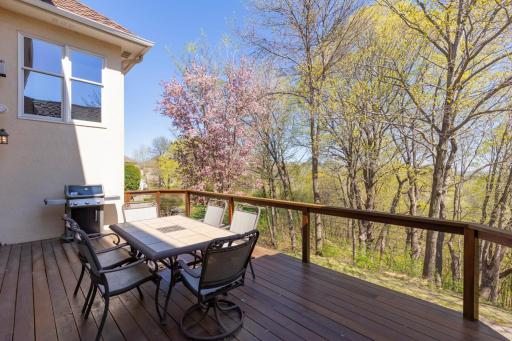 19043 Vogel Farm Trail, Eden Prairie, MN 55347