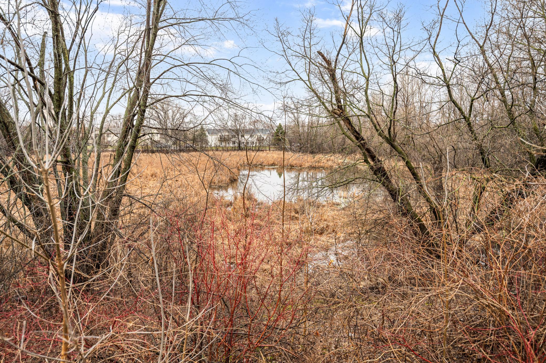 Pond view to far left of BIG front yard