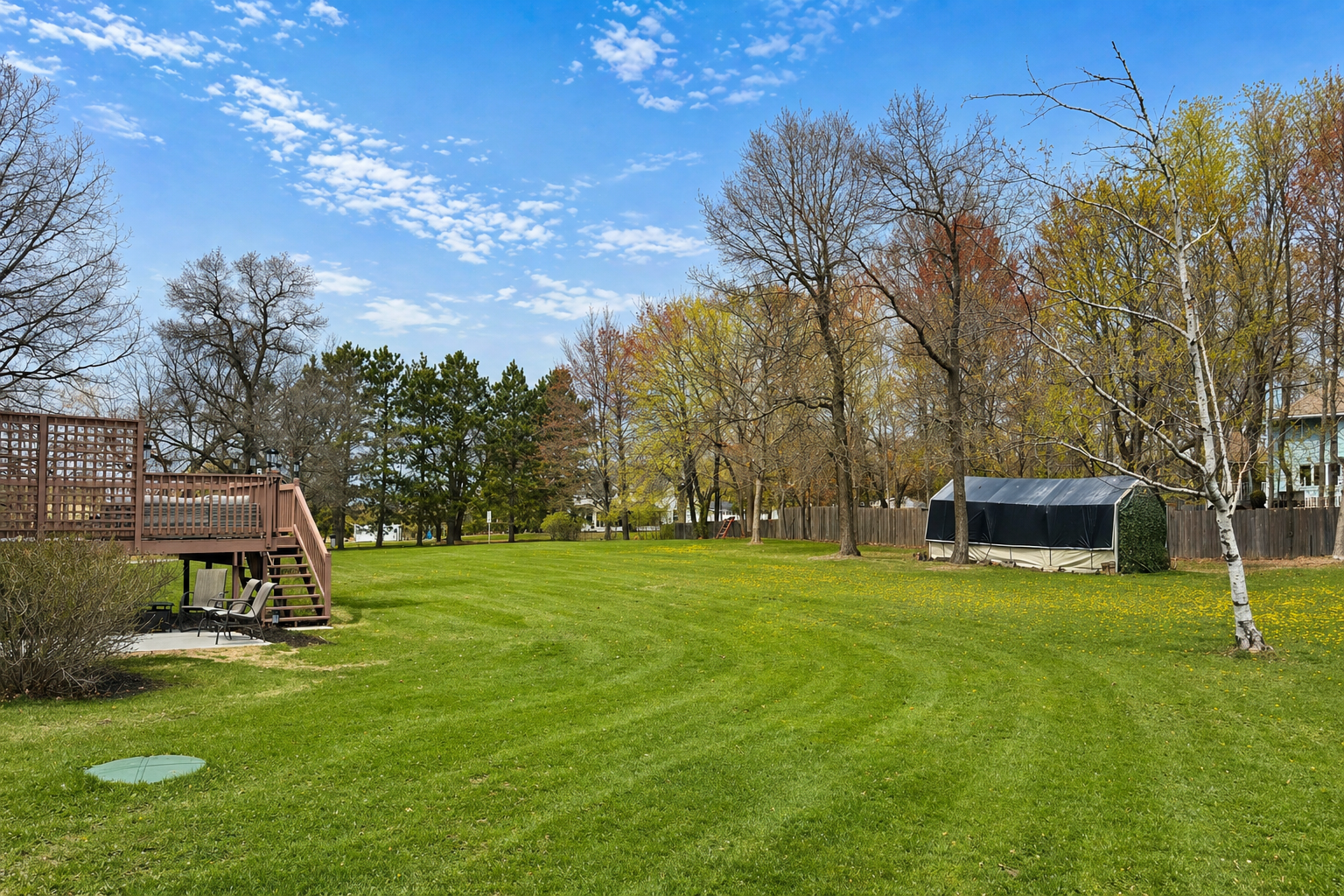 A large, open backyard on 1.17 acres. Plenty of space to play, garden, or simply enjoy the outdoors.