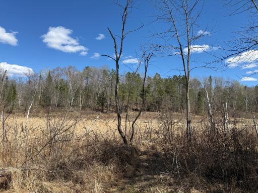 41174 Yellow Birch Lane, Emily, MN 56447