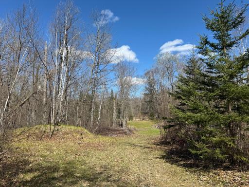 41174 Yellow Birch Lane, Emily, MN 56447
