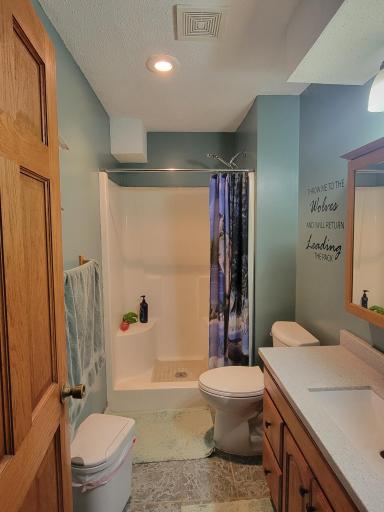 Lower level full bathroom