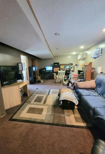 You'll love how large the lower level living room is!