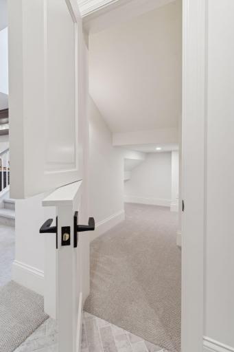 Under the stairs storage space.