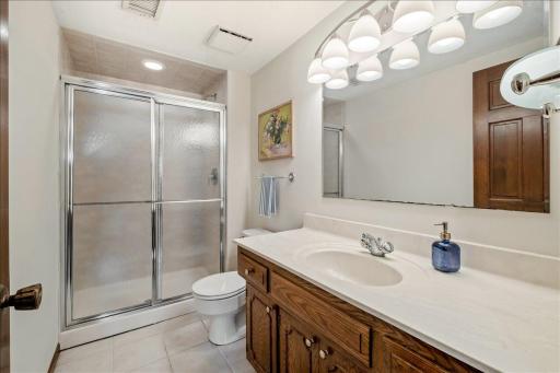 lower level bathroom