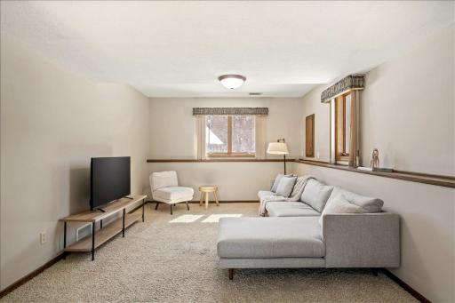 Lower level family room