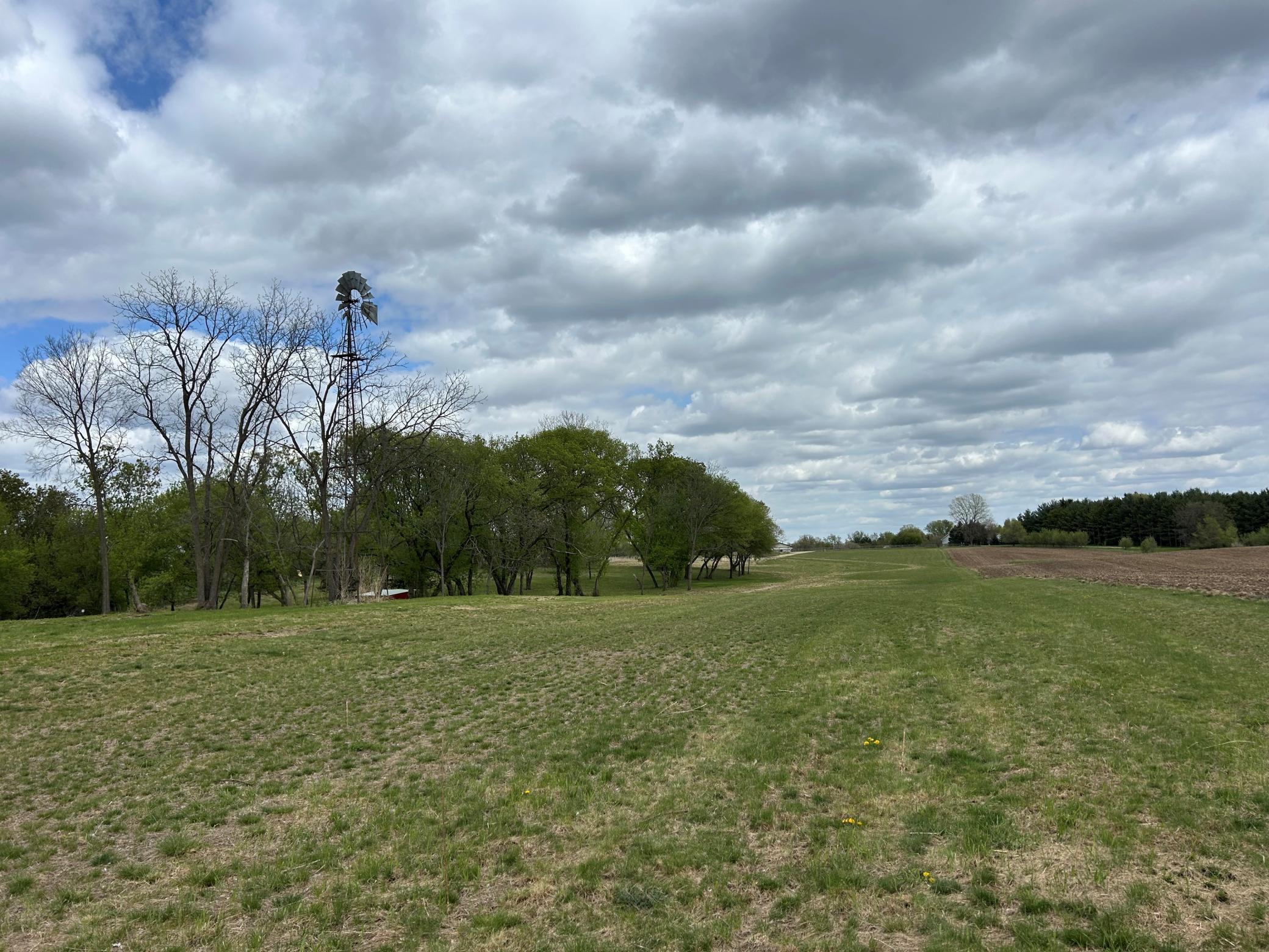 The old capped well with wind mill could be used for watering livestock/horses.