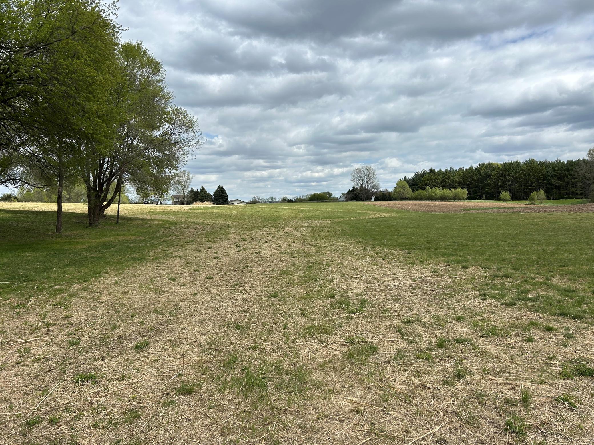 Nice mix of tree coverage and open areas.