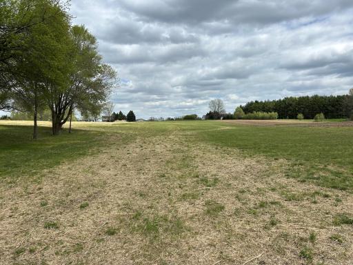 Nice mix of tree coverage and open areas.