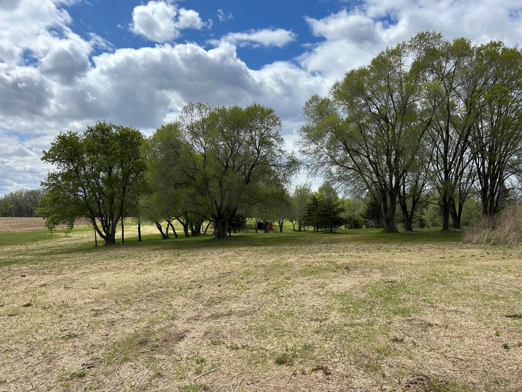 Part of the property has nice tree coverage.