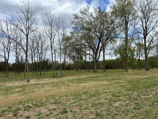 Nice mix of hardwoods throughout the property.