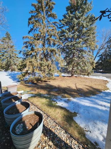 4041 Maureen Drive NE, 103, Minneapolis, MN 55421