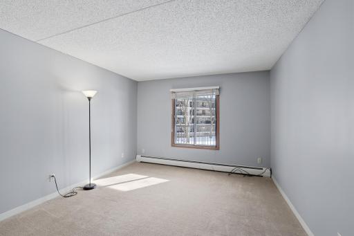 10531 Cedar Lake Road, 312, Hopkins, MN 55305