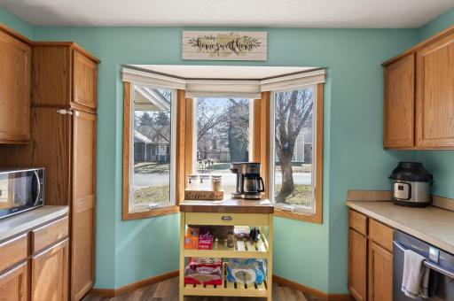 1325 Roosevelt Street, Anoka, MN 55303