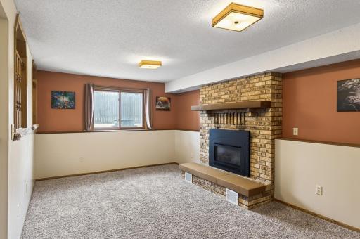 1325 Roosevelt Street, Anoka, MN 55303