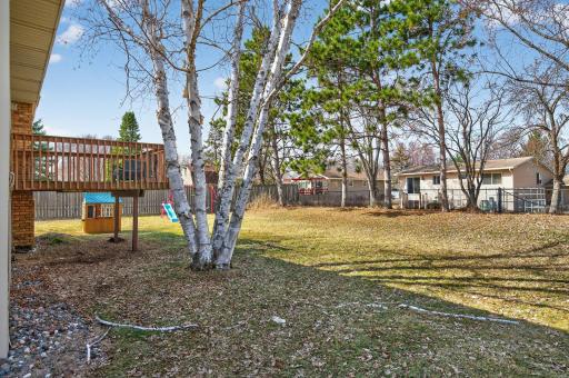 1325 Roosevelt Street, Anoka, MN 55303