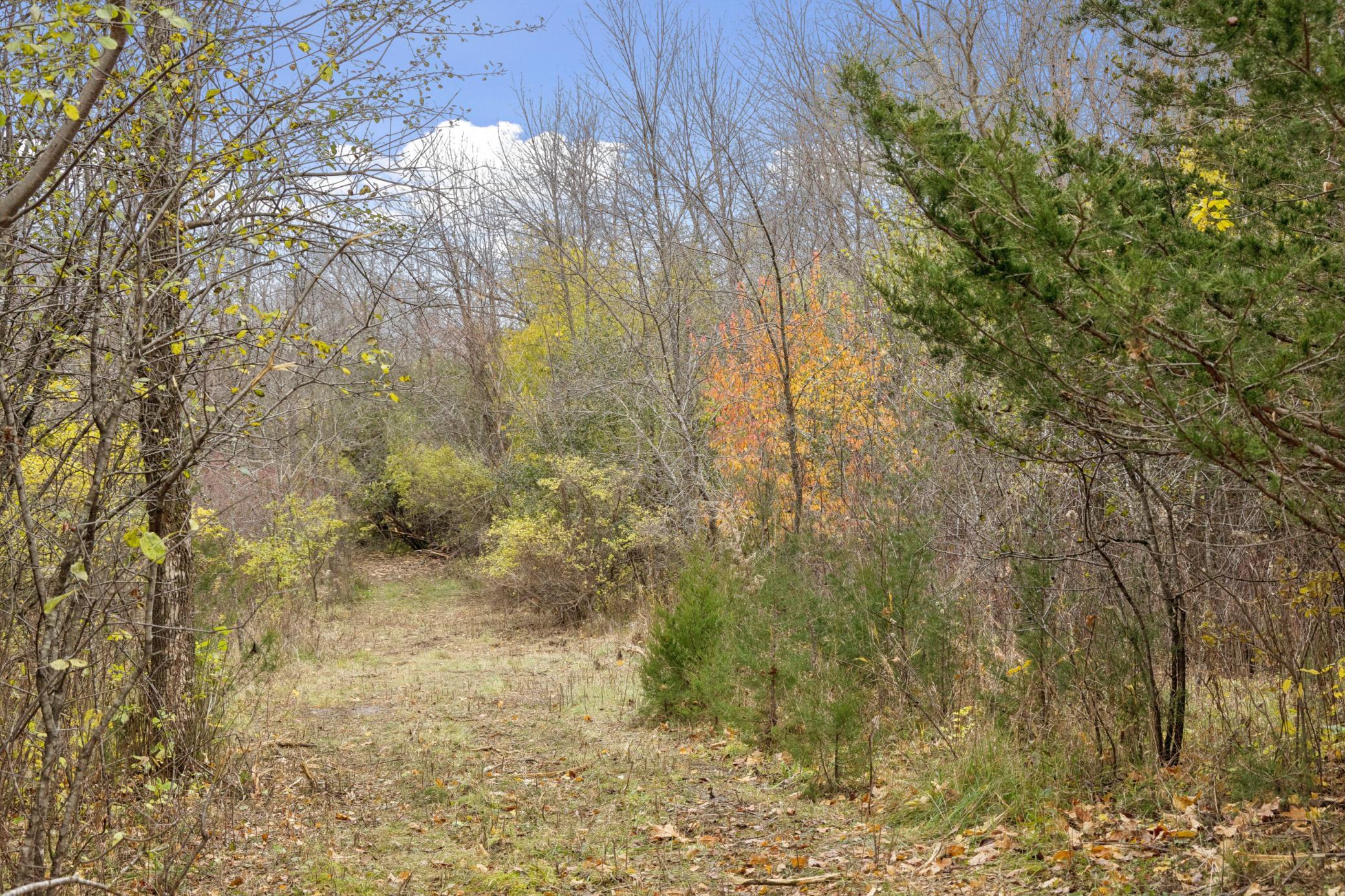 Rolling Hills and Trails
