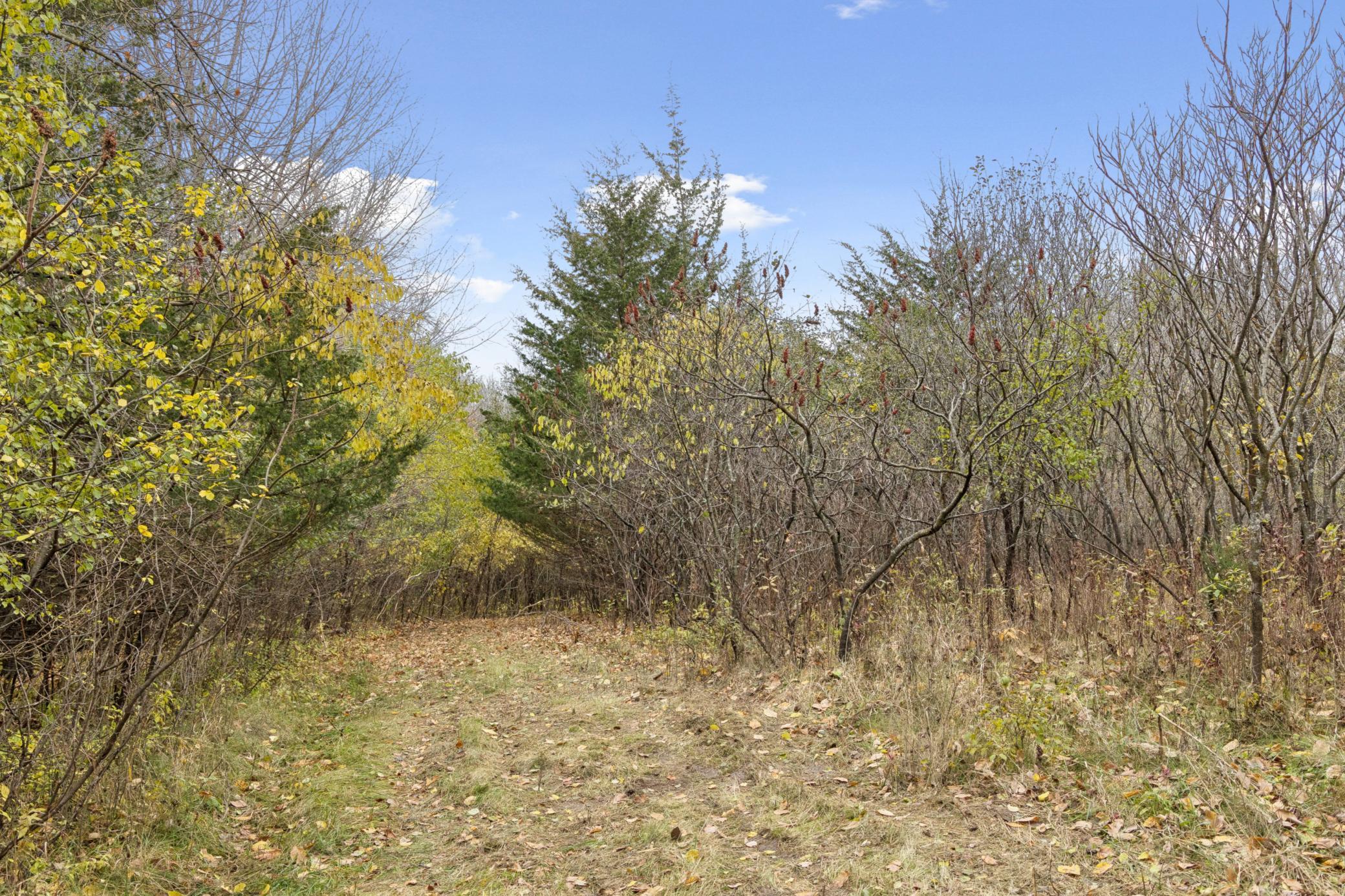 Nature Filled Acreage