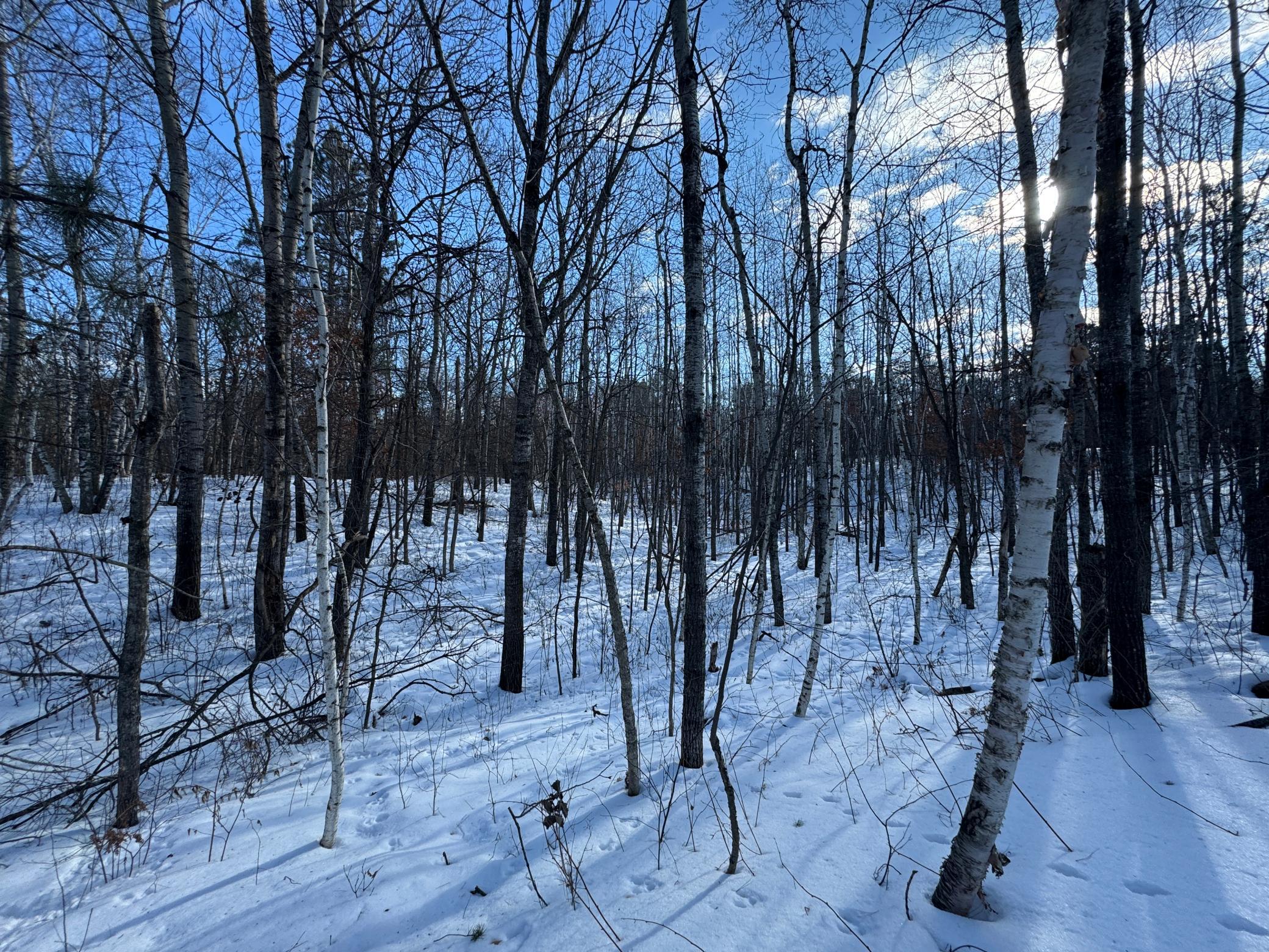 IMG_1909.JPG