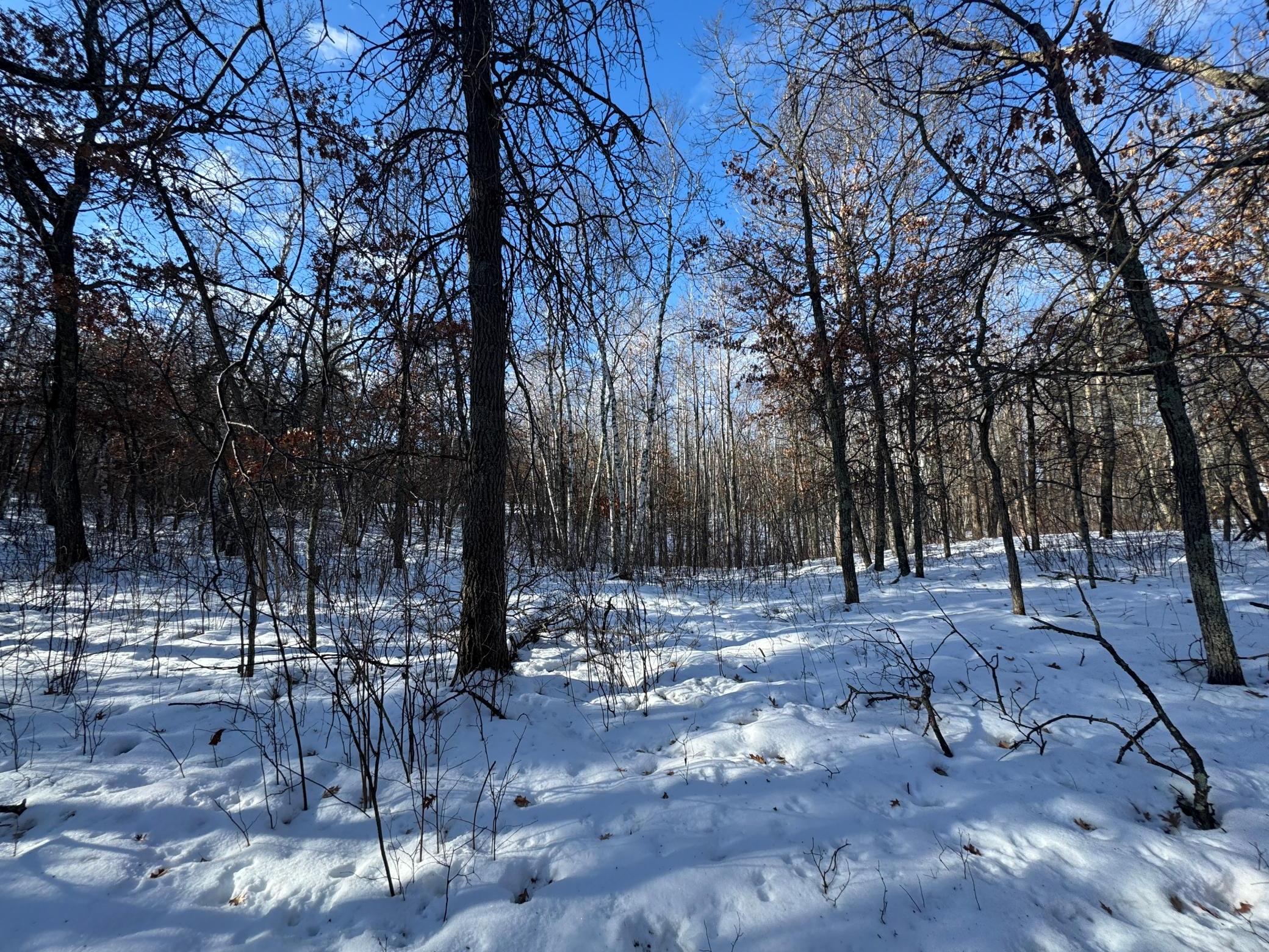 IMG_1905.JPG
