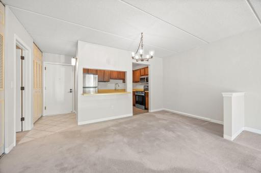 10411 Cedar Lake Road, 213, Hopkins, MN 55305