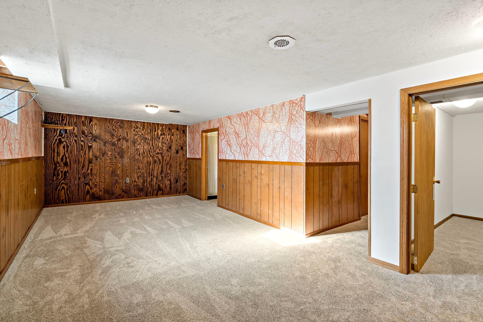 Basement Family room