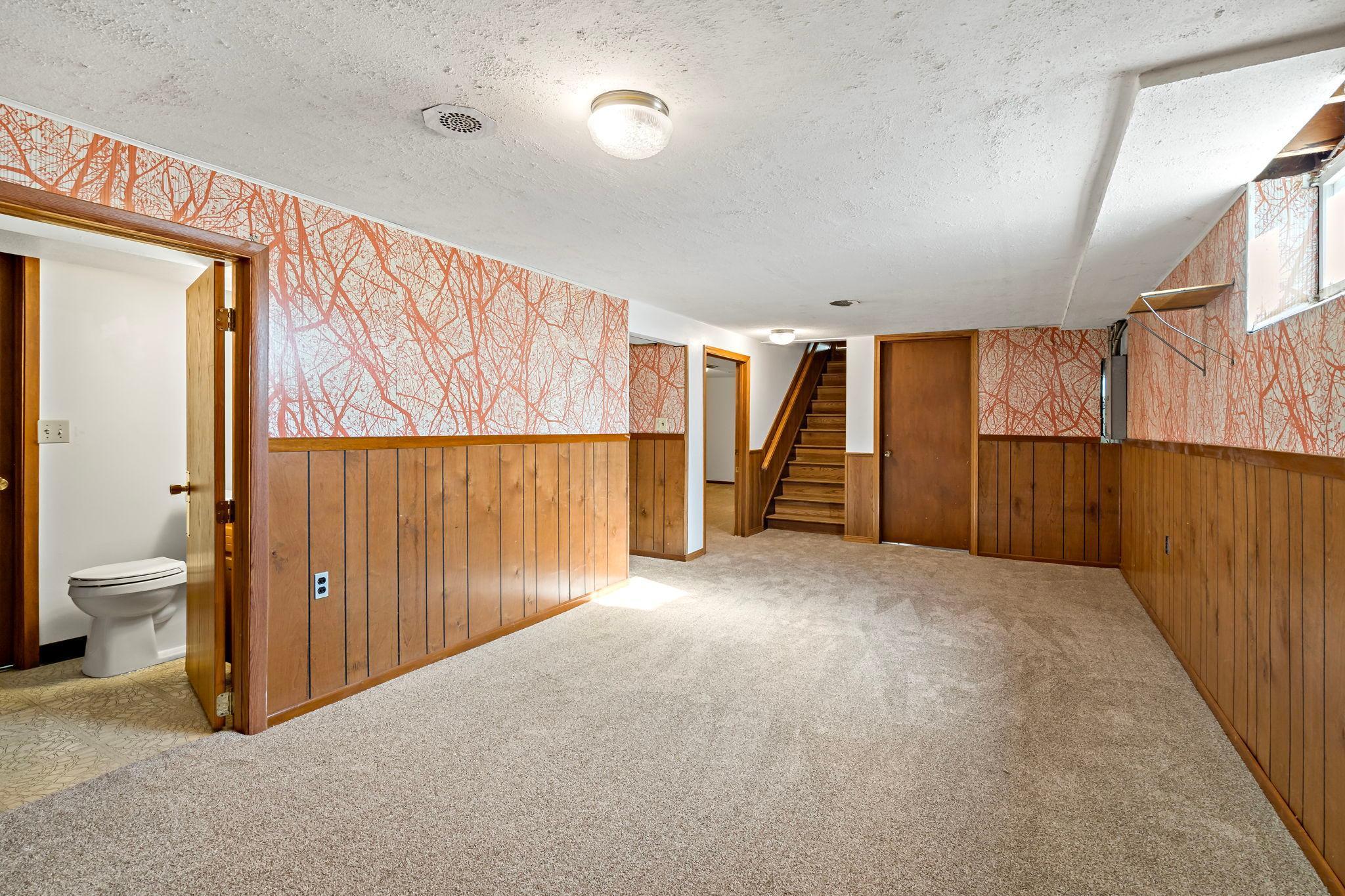 Basement Family room
