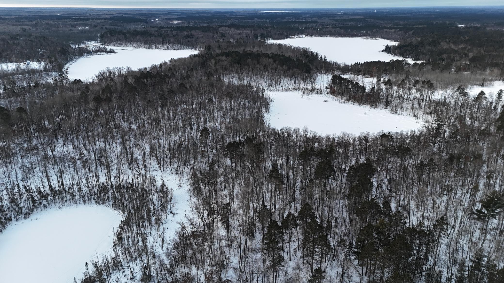 DJI_20260211080236_0193_D.JPG