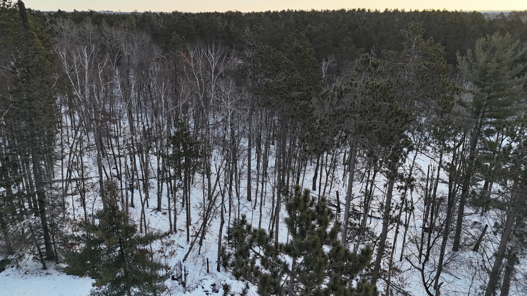 DJI_20260211075919_0184_D.JPG