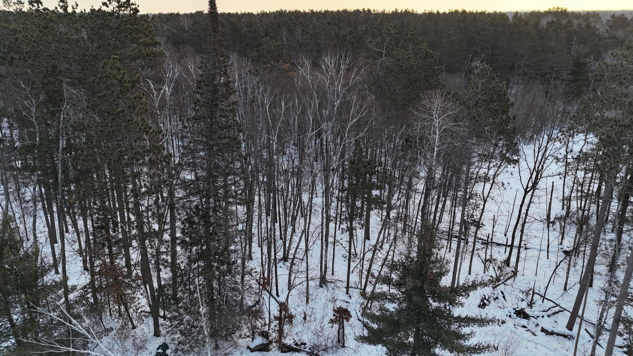 DJI_20260211075905_0182_D.JPG