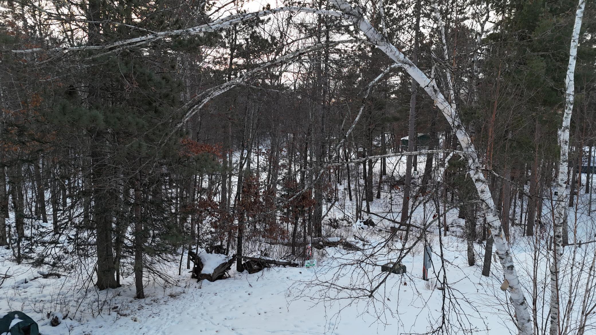 DJI_20260211075821_0180_D.JPG