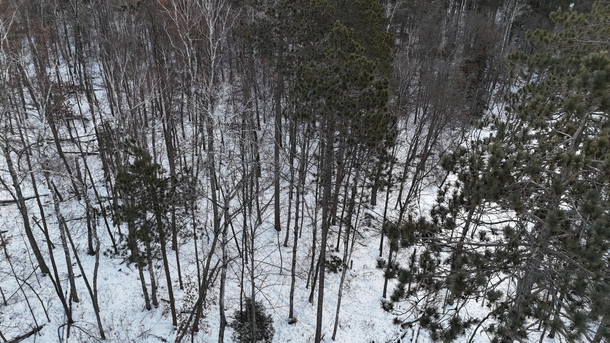 DJI_20260211075927_0185_D.JPG