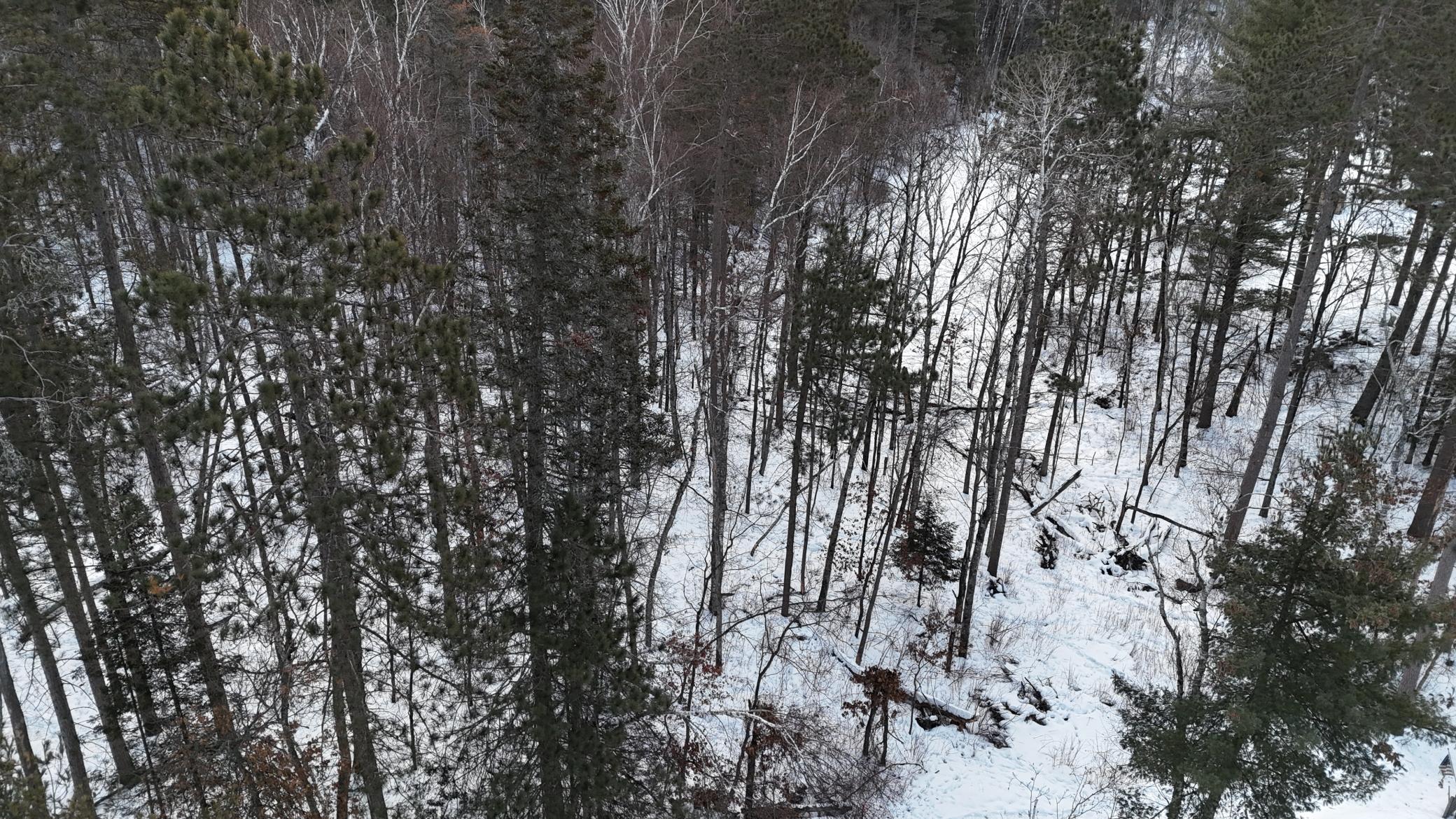 DJI_20260211075850_0181_D.JPG